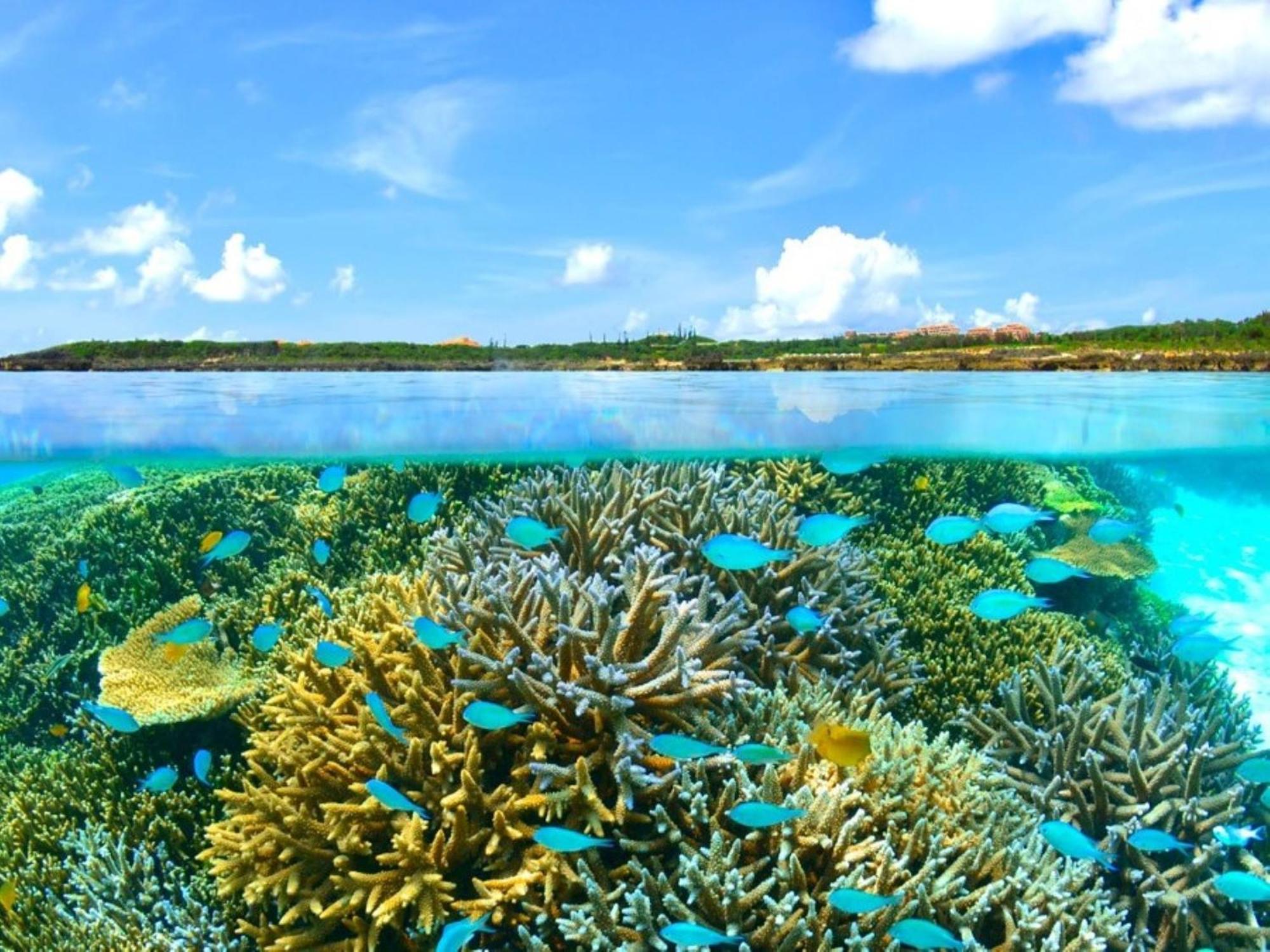 Allamanda Imgya Coral Village Miyakojima  Exterior foto